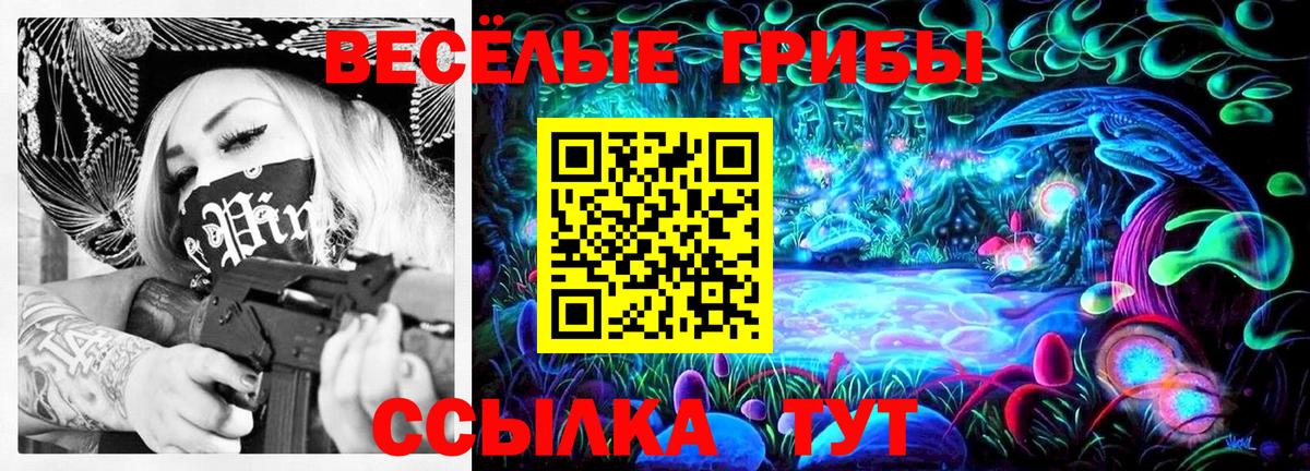 Псилоцибиновые грибы мицелий  Вход с VPN  Светлоград 